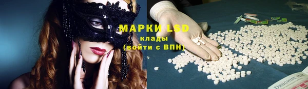 ГАЛЛЮЦИНОГЕННЫЕ ГРИБЫ Вязники